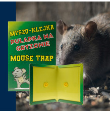 Łapka Pułapka Klejowa na...