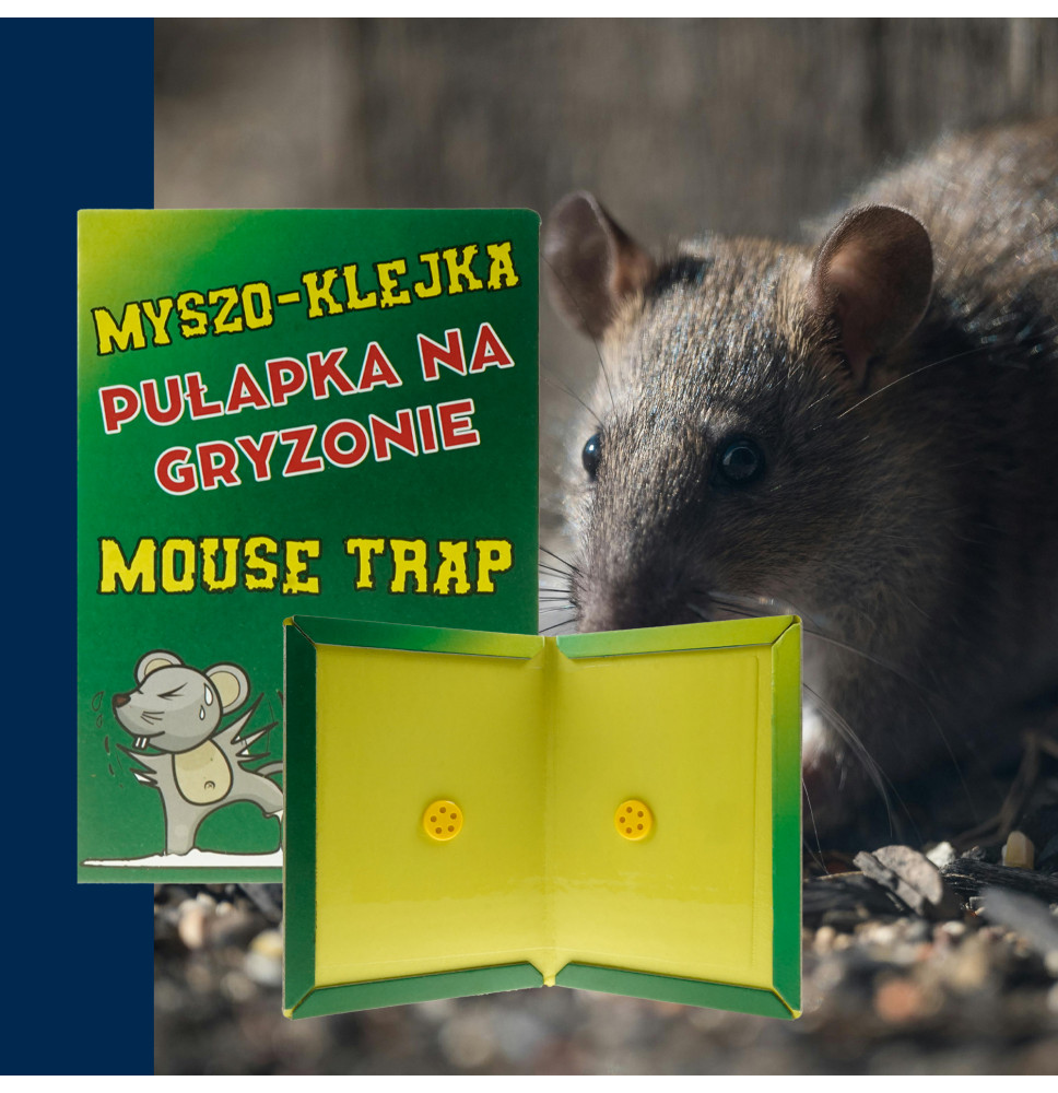 Łapka Pułapka Klejowa na Myszy i Szczury 10 szt. – Mocny Klej, Wabiący Zapach, Skuteczna Nietoksyczna Pułapka 12×17 cm