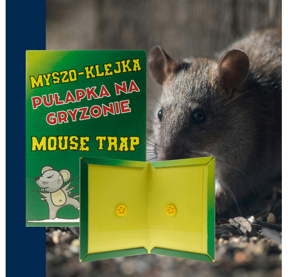 Łapka Pułapka Klejowa na Myszy i Szczury 10 szt. – Mocny Klej, Wabiący Zapach, Skuteczna Nietoksyczna Pułapka 12×17 cm